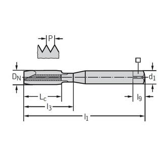 M20213 taraud pour inox